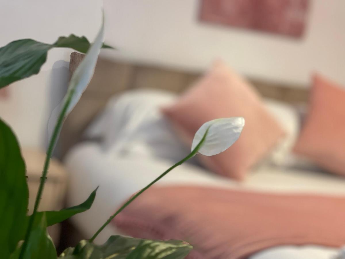 Penderi House Usk With Cymru Holidays エクステリア 写真